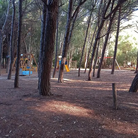 Paradiso למזיה טרמה