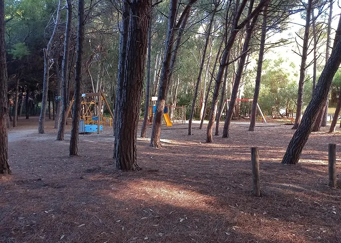 Paradiso למזיה טרמה